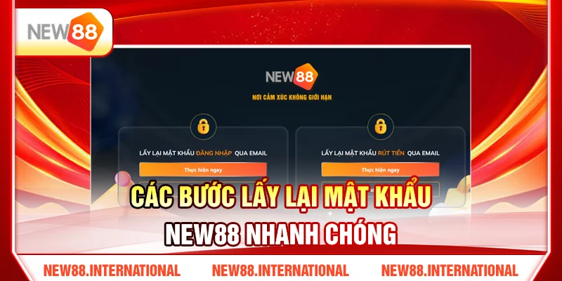 Các Bước Lấy Lại Mật Khẩu NEW88 Nhanh Chóng Các Bước Lấy Lại Mật Khẩu NEW88 Nhanh Chóng